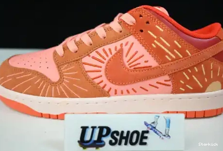 Low Nike (W) Winter Solstice NH Dunk DO6723-800 0503